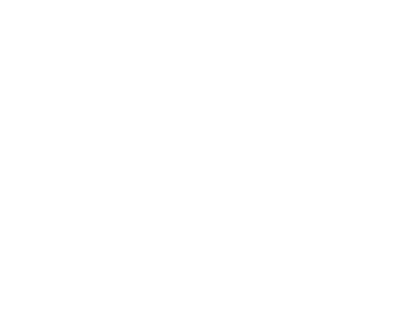Inim Electronics
